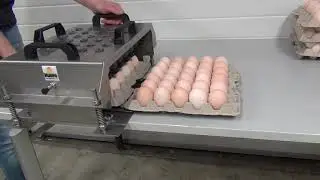 Nuovo Egg Stamper - Easy Stamp EMS30 Table