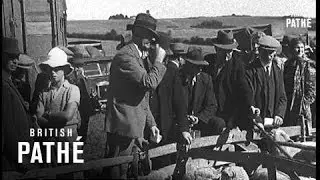 Sheep Sale - Findon (1938)