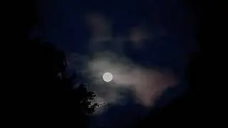 Jumping At Shadows - Peter Green (Alone With The Blues)