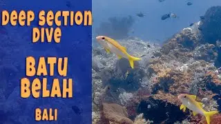 Batu Belah Bali: Deep Dive into Alien-Like Wonders (10 Mins Pure Underwater)