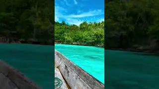 indo viral