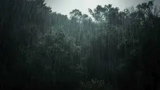 Light Rain Sounds for Sleep & Relaxation | 1 Hour Calming Rain Ambience
