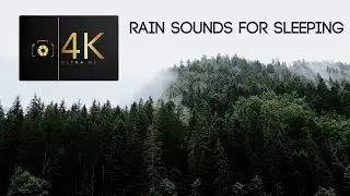 Rain Sounds for Sleeping with Thunder Sounds. Relaxing Forest Rain Ambience Sleep Sounds No Ads