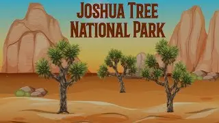 Joshua Tree National Park for Kids!