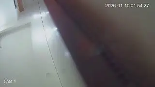 IP Cam Live Stream