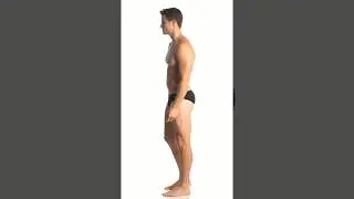Speedo Men's The One Brief Swimsuit | SwimOutlet.com