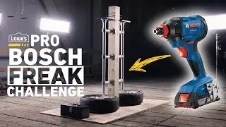 Who Will Win? - The Bosch 