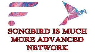Songbird Much More Advance To Flare - New Features Upgrades - SGB Long Term Purpose - Hugo Philion