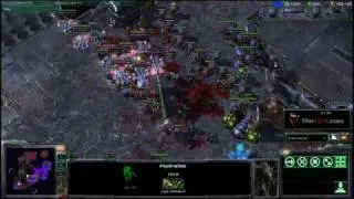 Зерг побеждает терранов с помощью биошара. Стратегия StarCraft 2. TheUEN.com