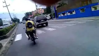 los callaitos atoa