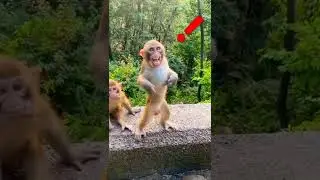 #bada badam wala kacha badam YouTube short cute#Munda🙏🙏🤣😂 viral video please subscribe to my