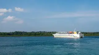 Coral Sea Cruise