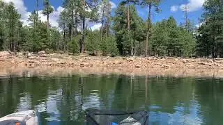 An Osprey grabbing a trout at Willow Springs Lake AZ.