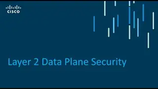 Layer 2 Data Plane Security Controls