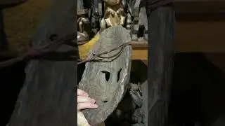 Africa tribe old mask