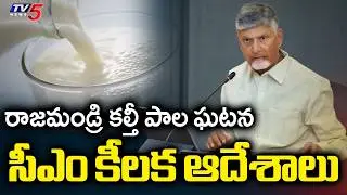 సీఎం కీలక ఆదేశాలు : AP CM Chandrababu Naidu REACTS Over Rajahmundry Adulterated Milk Incident | TV5