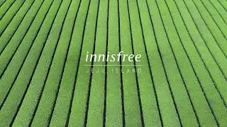 innisfree Beauty Green Tea