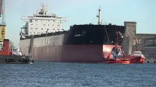 Masowiec Jawor wypływa z gdańskiego portu.