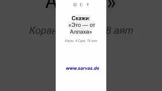 21.3.2025. #коран #инджил #таурат #обучение #машиах #мессия #тора #библия #евангелие #бог #зверь