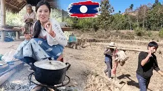 กว่าจะได้เงินแต่ละบาท ลำบากมาก#วิถี่สาวลาว