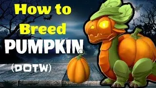 PUMPKIN DRAGON | NEW DOTW | How to breed Guide | Breeding Info | Dragon Mania Legends| DML