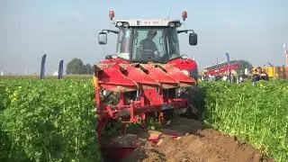 Demo groenbemester werktuigendagen 2017 met Massey Ferguson 5611 en 4-schaar Aerts
