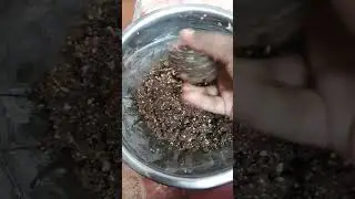 Simili urundai / Ragi simili /Ragi peanut balls /Simili recipe 👇full video in Withmedimple channel