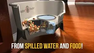 Have a Messy Pet? The Best-Selling Neater Feeder Is Here to Help!