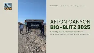 Women in Science Discovering Our Mojave: Afton Canyon Bio-Blitz 2025