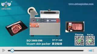 Bespacker DVP-160 beef shrimp fish vacuum skin packing machine SQ13666-096