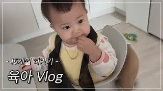 육아브이로그 | 16개월 하반기 | 잘 먹고 잘 노는 일상 