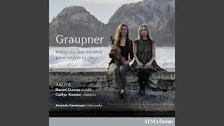 Sonata for Violin and Basso Continuo in G Major, GWV 707: I. Andante