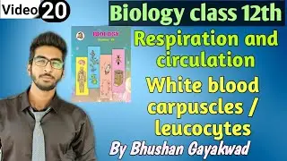 White blood carpuscles || leukocytes || part 20 Respiration and circulation class 12