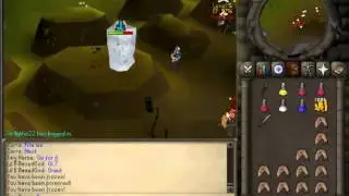 tiny horse pk vid 1 - the beginning of the ags prod + one duel arena combo tryout