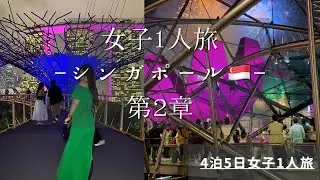 シンガポール🇸🇬女子1人旅年末年始カウントダウンの様子