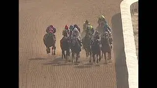 2010 Stephen Foster Replay - Blame