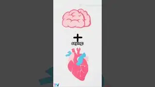 Your Words Shape Your Mind 🧠