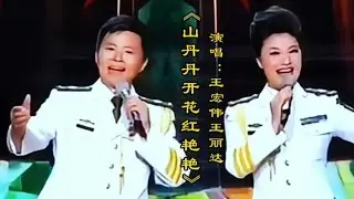 王宏伟 王丽达演唱《山丹丹花开红艳艳》清脆嘹亮令人回味百听不
