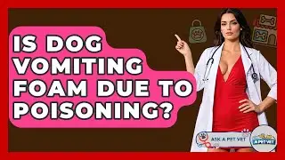 Is Dog Vomiting Foam Due To Poisoning? - Ask A Pet Vet