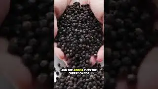 Importing Indian Black Pepper l Growmax Sourcing l
