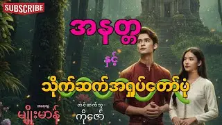 အနတ္တ နှင့် သိုက်ဆက်အရှုပ်တော်ပုံ (စာစဉ်-၁၇) စာရေးသူ-မျိုးမာန်