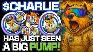 Акции $CHARLIE COIN ON BASE пережили невероятный рост!!!
