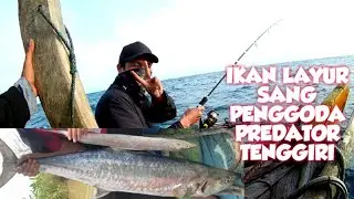 mancing ikan tenggiri pakai umpan layur sangat ampuh di spot ini