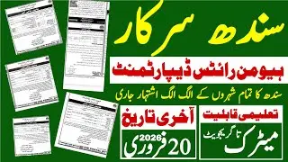 Sindh Goverment Human Rights Department Latest Jobs 2026 | Technical Job Info 1.0