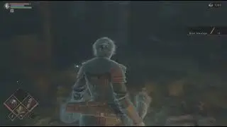 - Demon's Souls restart - 2025_12_21