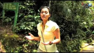 Reality Series-Kundasang Experience