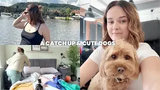 going back to basics (& cute office dogs) | WEEKLY VLOG