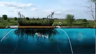 Floating Treatment Wetland