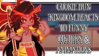 COOKIE RUN KINGDOM REACTS TO FUNNY ANIMATIONS & TIKTOKS || GACHA LOVELY || PART 3 