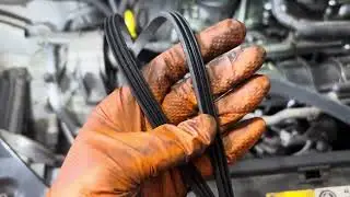 Volkswagen Tiguan Drive Belt Replacement - How to Remove Drive Belt